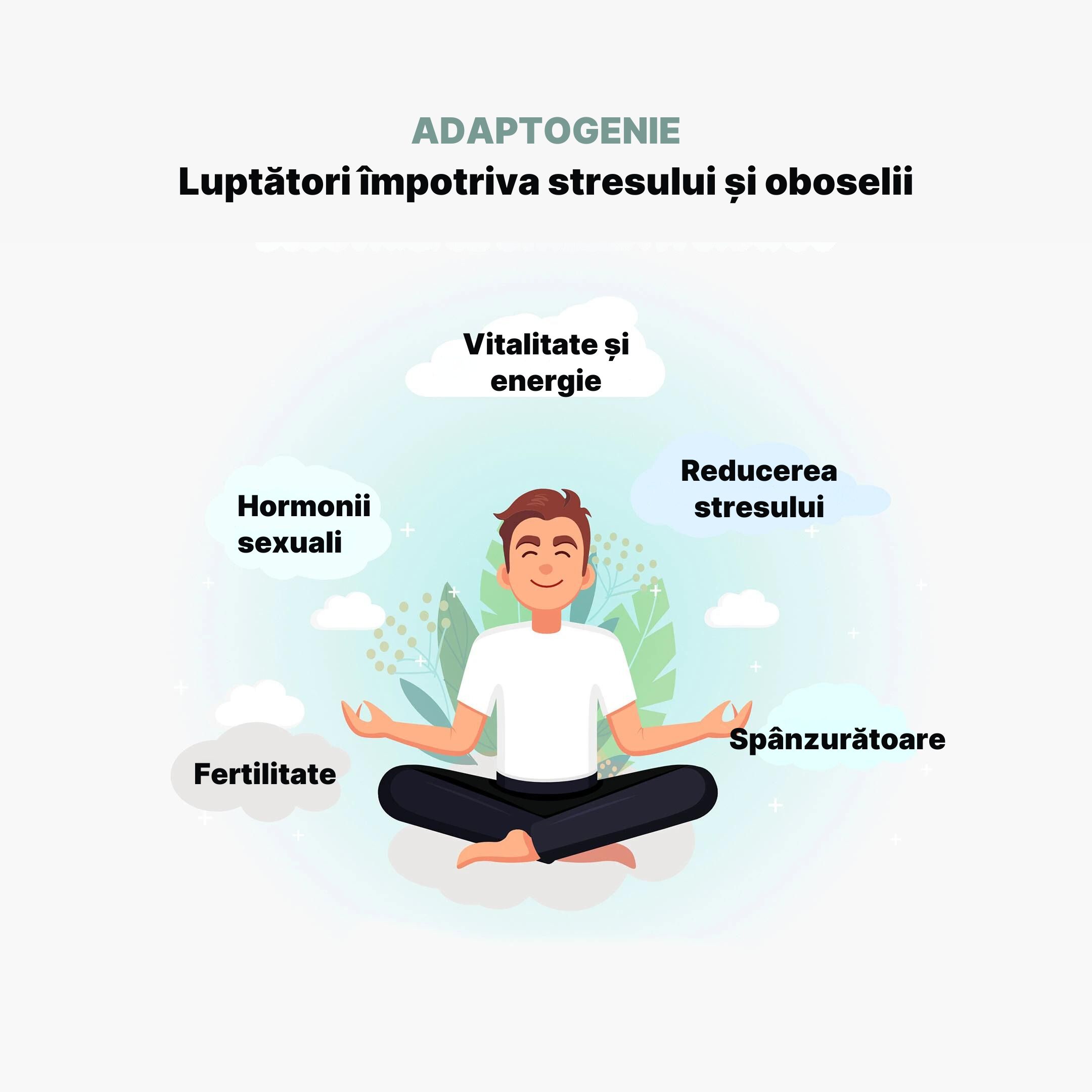 (Rumunština) ADAPTOGENY BOJOVNÍCI SE STRESEM A ÚNAVOU